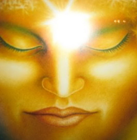 File:12mind-copy.jpg
