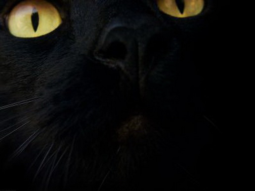 File:Black-3d40qq.jpg