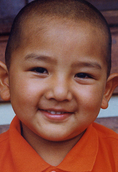 File:Jongun Kongtrul.jpg