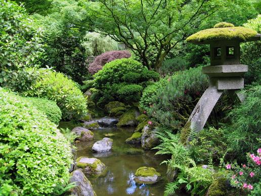 File:Url224.jpg