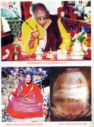 File:Ahqiulama002.jpg