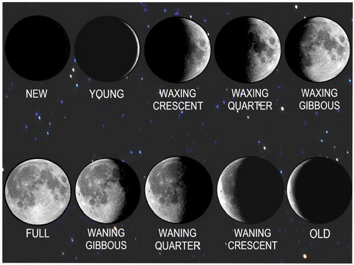 File:Moon-Phases475h.jpg