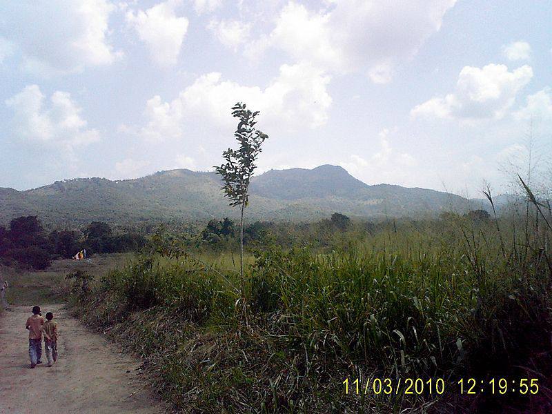 File:800px-Na Uyana Aranya on Dummiya Mountains.jpg