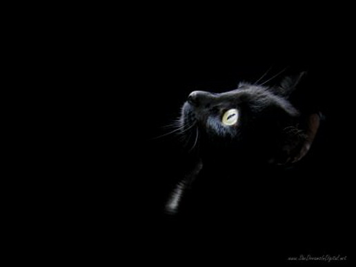 File:Black-3d-q.jpg