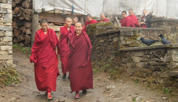 File:Budxxns.jpg