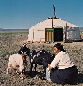 File:8694-004-4E0.jpg