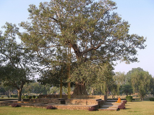 File:Anandabodhi01.jpg