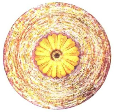 Fig. 12But... it is actually a one thousand twenty four petaled Lotus.Note the central 12 double-lobed figure!This is a newly rendered version of the Crown chakra, much closer to reality. More on that
