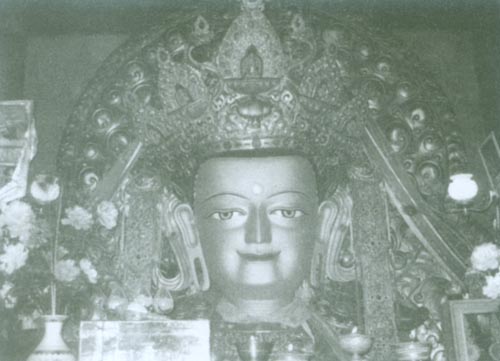 File:0806Champa tongdrol (byams-pa mtbong-grol) in the Drepung.jpg