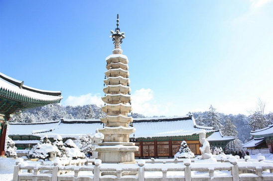 File:469.jpg