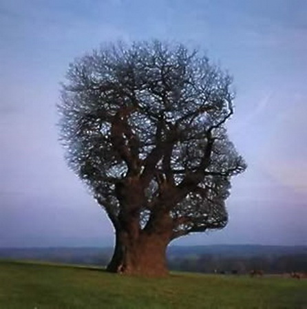 File:Ree-300px.jpg