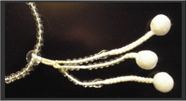 File:Clear plastic pompoms.jpg