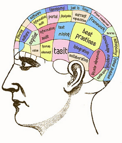 File:Phrenology10.jpg