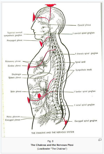 The Chakras and their Petals - A Technical Overview