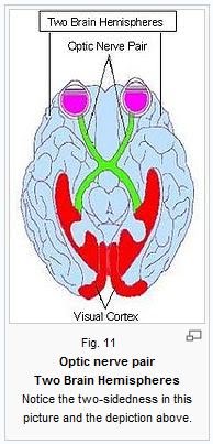 The Chakras and their Petals - A Technical Overview