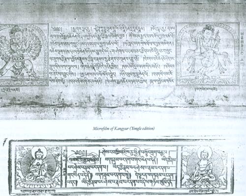 File:23microfilmKangyurKuriedition.jpg