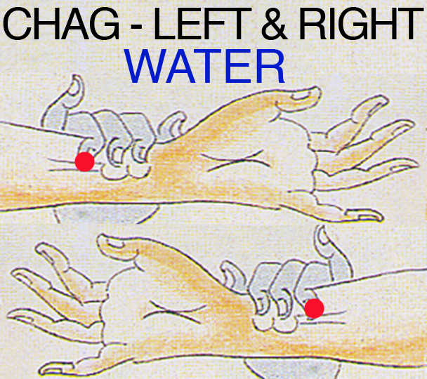 File:CHAG.jpg