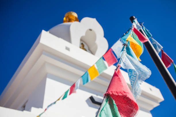 File:Istockphoto-1213074605-612x612.jpg