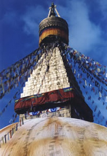 File:Zed-200.jpg