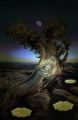 Thumbnail for version as of 13:44, 25 May 2014