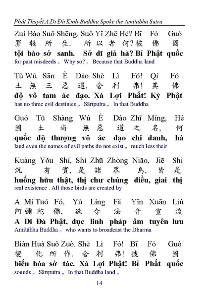 File:CEV02.pdf