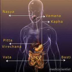 Vata