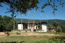 Nyimalung Monastery