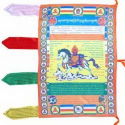 Orientalism Violence Tibetan Buddhism by Elliot Sperling
