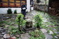 Madhyamika-The Teaching of the Middle Way