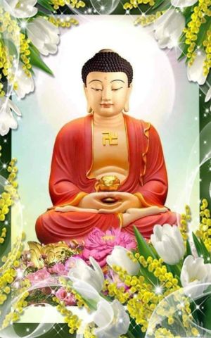 Impermanence and Questions & Answers