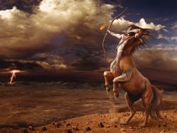 Year of the Horse 2014