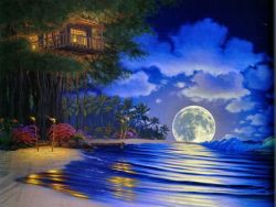 Moonlight