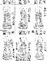 Thumbnail for version as of 14:24, 1 March 2013