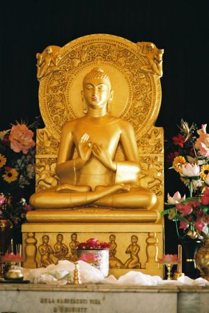 Compassion Throughout the Nine Yanas