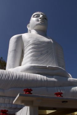 The no-Self theory: Hume, Buddhism , and Personal Idenditet