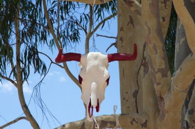 Human as well as animal skulls are also used in connection with exorcism and protection against evil: in order to avert or to counteract the harm caused by all various classes of sri , the most effica