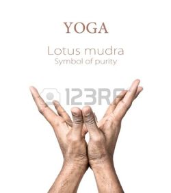 Buddhist Symbols, The Becon Lights to Nibbana by Ven. Dr.Bhikkhu Bodhipala