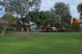 The grounds