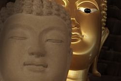 Buddhism in Sri Lanka by H.R. Perera