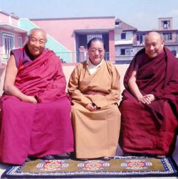 The Nyingma Lineages of Longchen Nyingthig