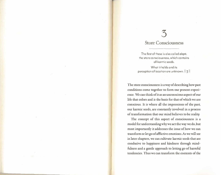 File:Inside Vasubandhu’s Yogacara A Practitioner’s Guide ( PDFDrive ).pdf