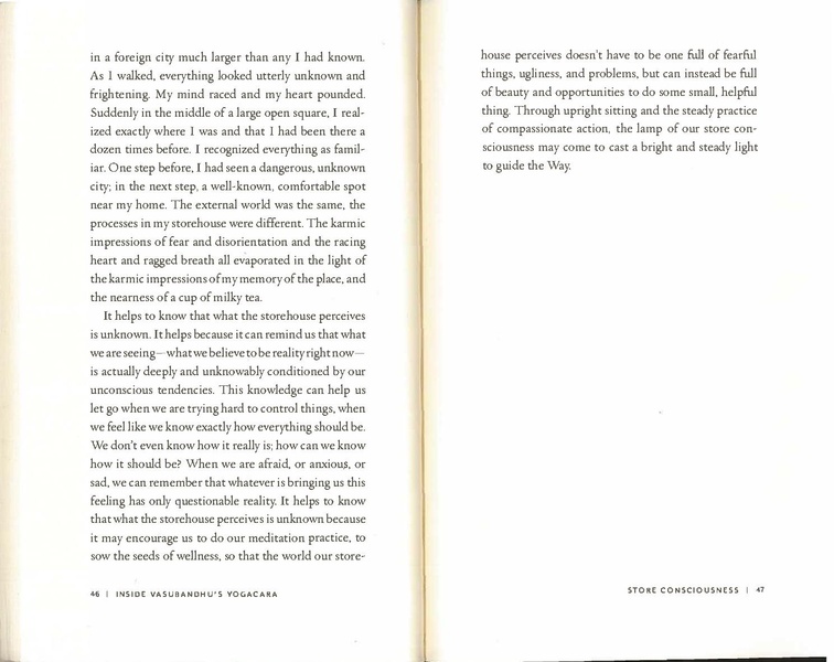 File:Inside Vasubandhu’s Yogacara A Practitioner’s Guide ( PDFDrive ).pdf