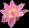 Thumbnail for version as of 02:01, 5 November 2015