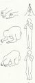 Thumbnail for version as of 23:01, 24 June 2014
