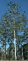 Thumbnail for version as of 10:41, 30 October 2015