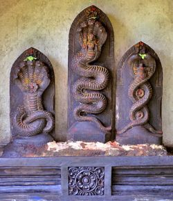 Torma Offering to the Nāgas