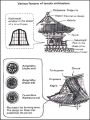 Thumbnail for version as of 05:19, 11 May 2013