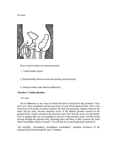 File:Kundalini.Tantra.by.Satyananda.Saraswati.pdf