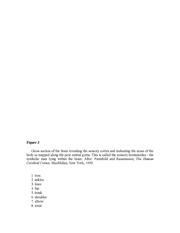next page →