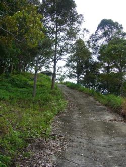 Nibbinda Forest Monastery
